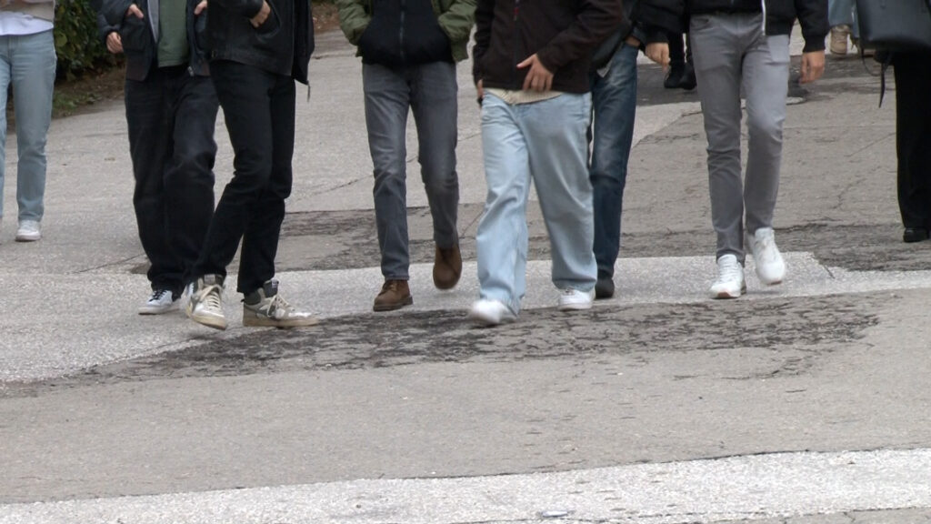 Тинејџерско доба – период који одваја дете од детињста, а води га ка одраслом добу