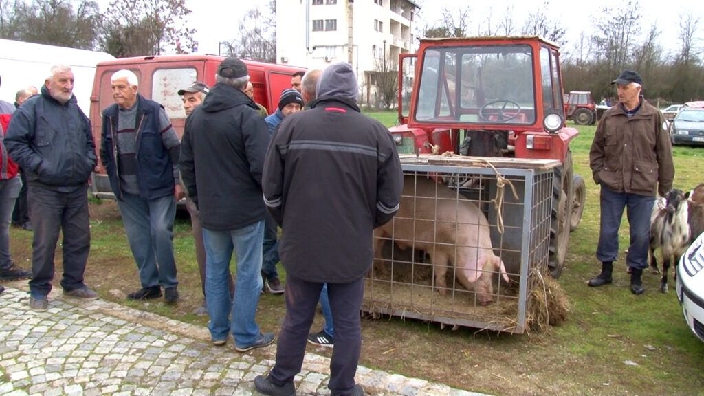 Због ниске цене прасића купци задовољни, продавци негодују