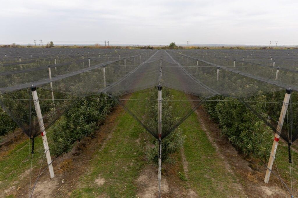 Расписан Јавни позив за набавку машина и опреме за примарну биљну производњу