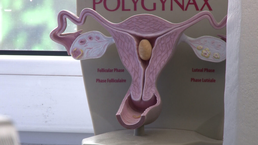 Европска недеља превенције рака грлића материце