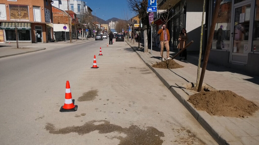 Почела садња платана у главној улици