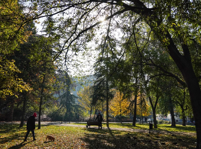 После хладног јутра, данас сунчано и топлије, температура до 20 степени